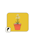 Load image into Gallery viewer, Bloom Growth Pack
